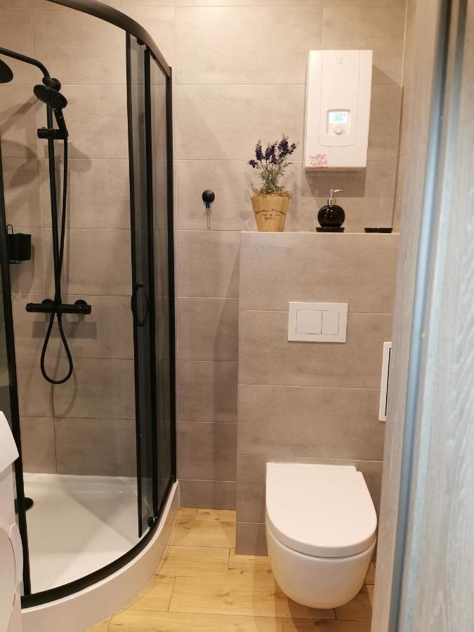Апартаменты Apartament W Parku Освенцим Экстерьер фото