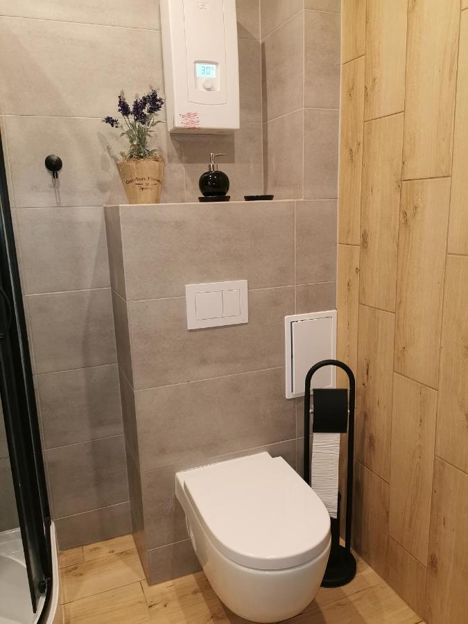Апартаменты Apartament W Parku Освенцим Экстерьер фото